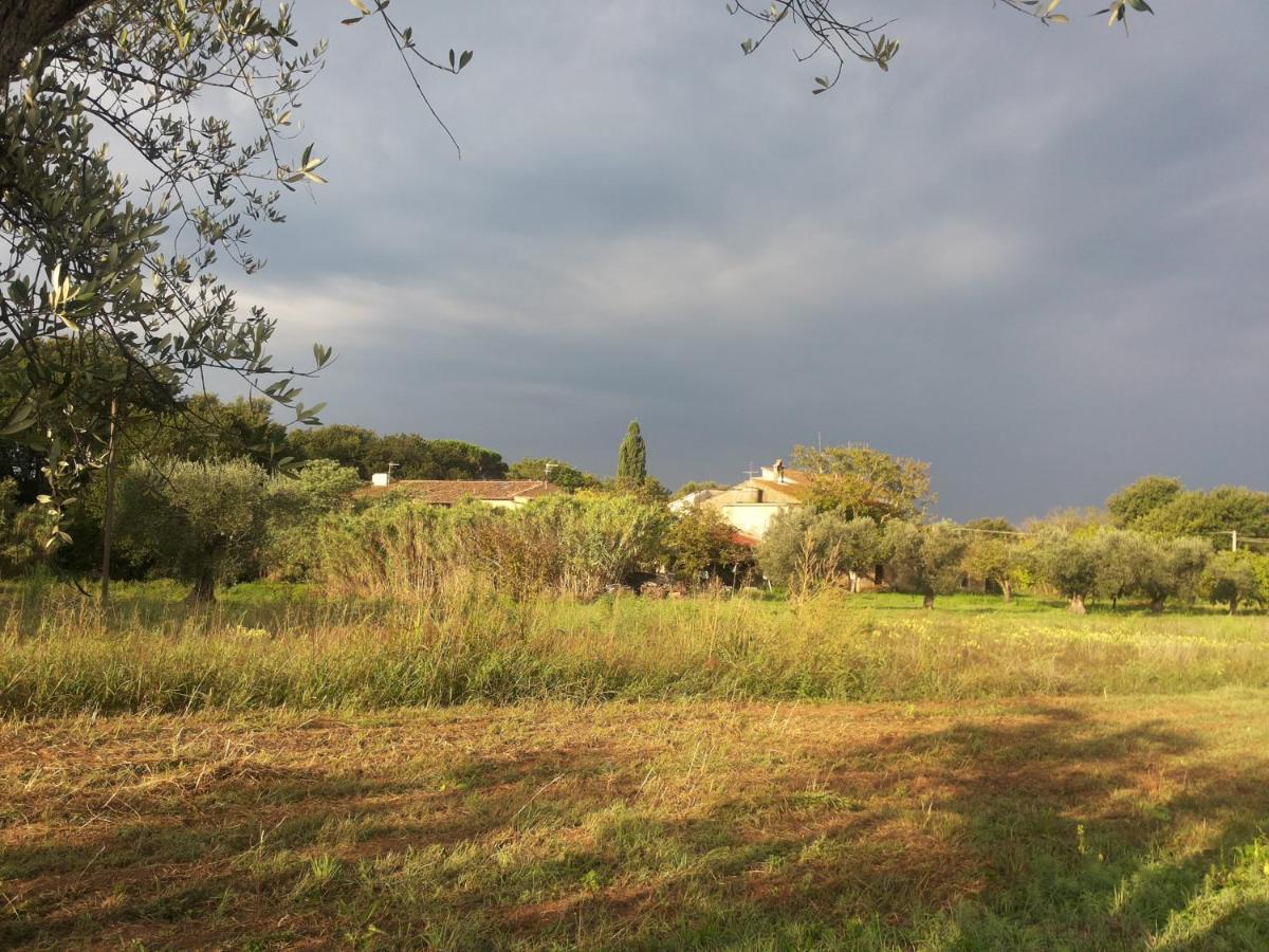 Agriturismo La Gatta E L'Olivo - Casa Daria Donoratico Exterior foto